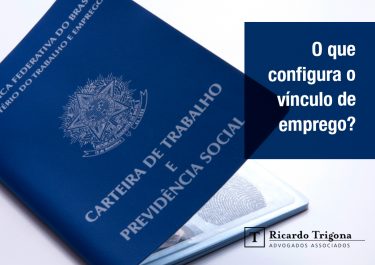 Site 01_vinculo
